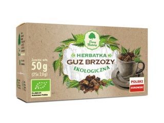 GUZ BRZOZY EKO FIX 25 sasz. DARY NATURY