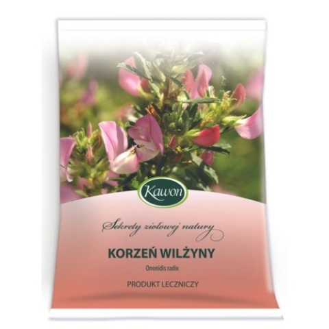 KORZEŃ WILŻYNY 50g KAWON