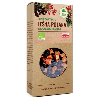 LEŚNA POLANA HERBATKA EKO DARY NATURY 100 g