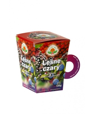 LEŚNE CZARY HERBATKA ZIOŁOWA 100g NATURA WITA