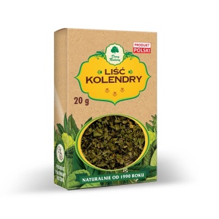 LIŚĆ KOLENDRY 20g DARY NATURY
