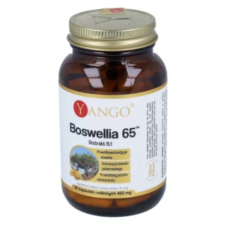 BOSWELLIA EKSTRAKT 90kaps. YANGO