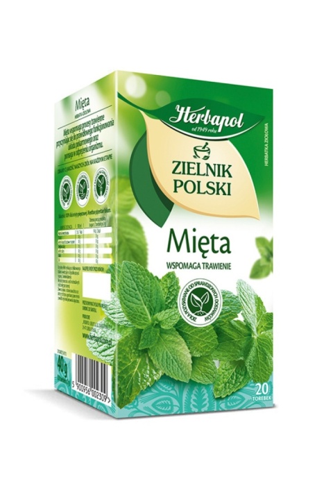 MIĘTA FIX 20 sasz ZIELNIK POLSKI HERBAPOL