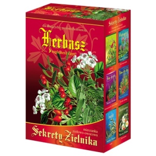 HERBASZ SEKRET ZIELNIKA FIX 40 sasz.