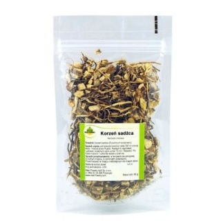 SADZIEC KORZEŃ 40 g MEDI-FLOWERY